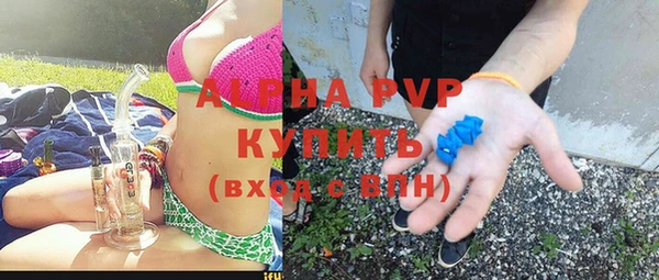 СК Алзамай