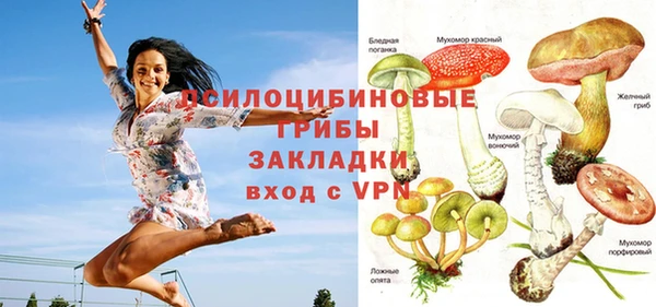 винт Алексеевка
