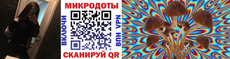 blacksprut онион  Нефтекумск  Галлюциногенные грибы MAGIC MUSHROOMS 